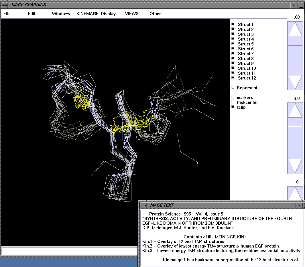 TMF_kinemage